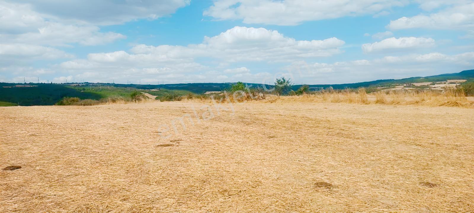 Şarköy Gölcükte Villa Projesine Uygun İmarlı Kupon Arsa — fotoğraf 13
