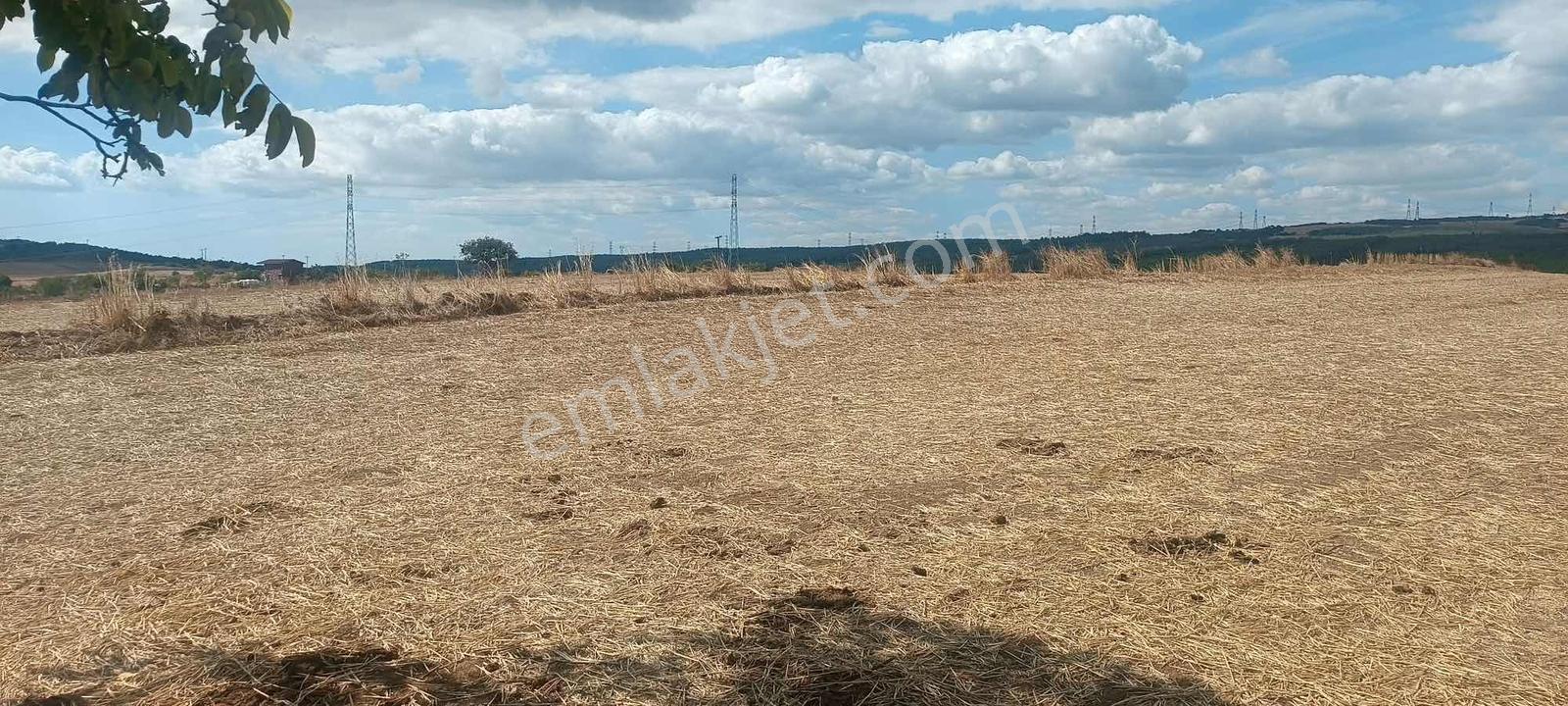 Şarköy Gölcükte Villa Projesine Uygun İmarlı Kupon Arsa — fotoğraf 14