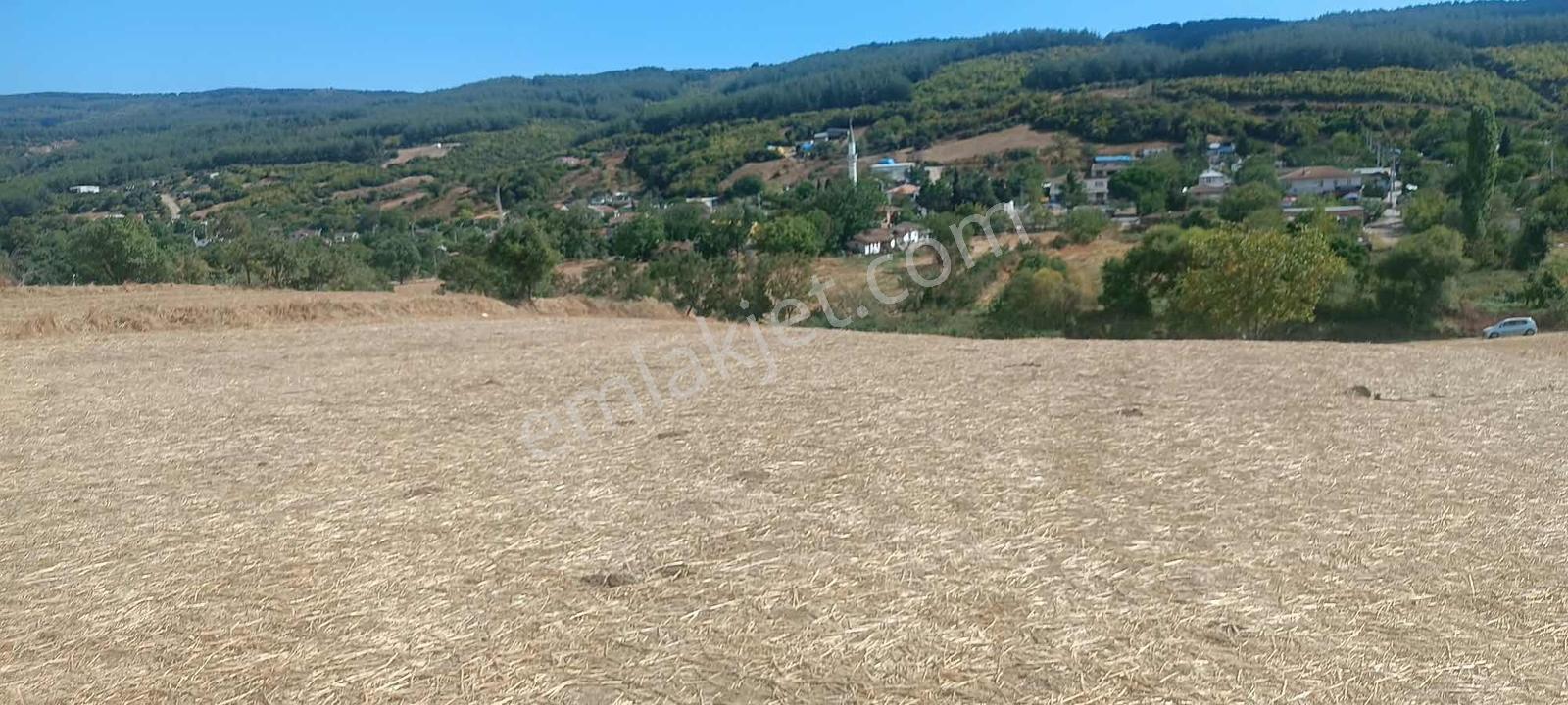 Şarköy Gölcükte Villa Projesine Uygun İmarlı Kupon Arsa — fotoğraf 15
