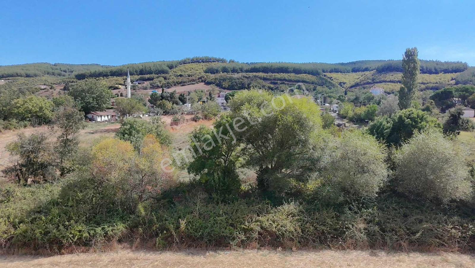 Şarköy Gölcükte Villa Projesine Uygun İmarlı Kupon Arsa — fotoğraf 16