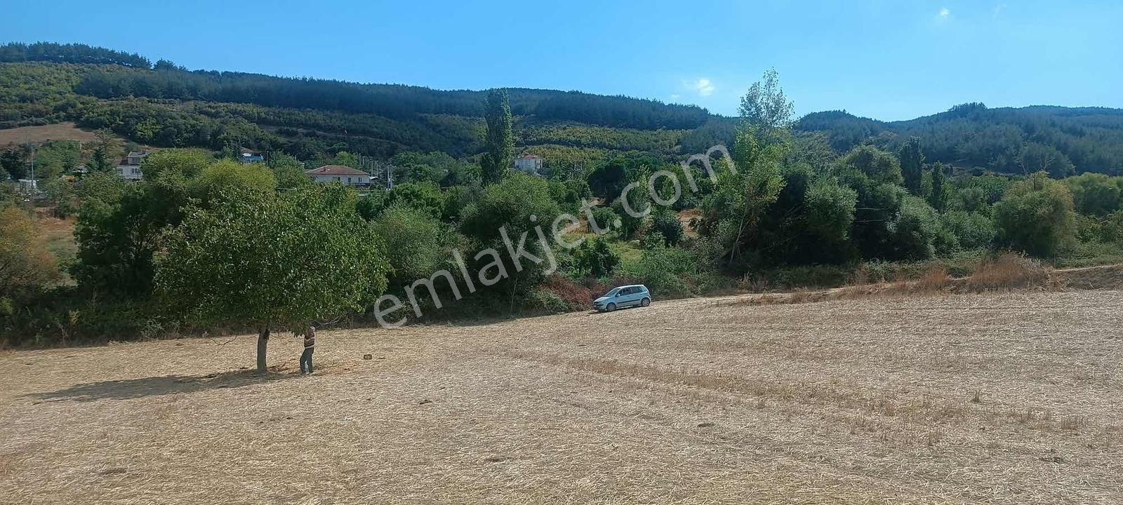 Şarköy Gölcükte Villa Projesine Uygun İmarlı Kupon Arsa — fotoğraf 19