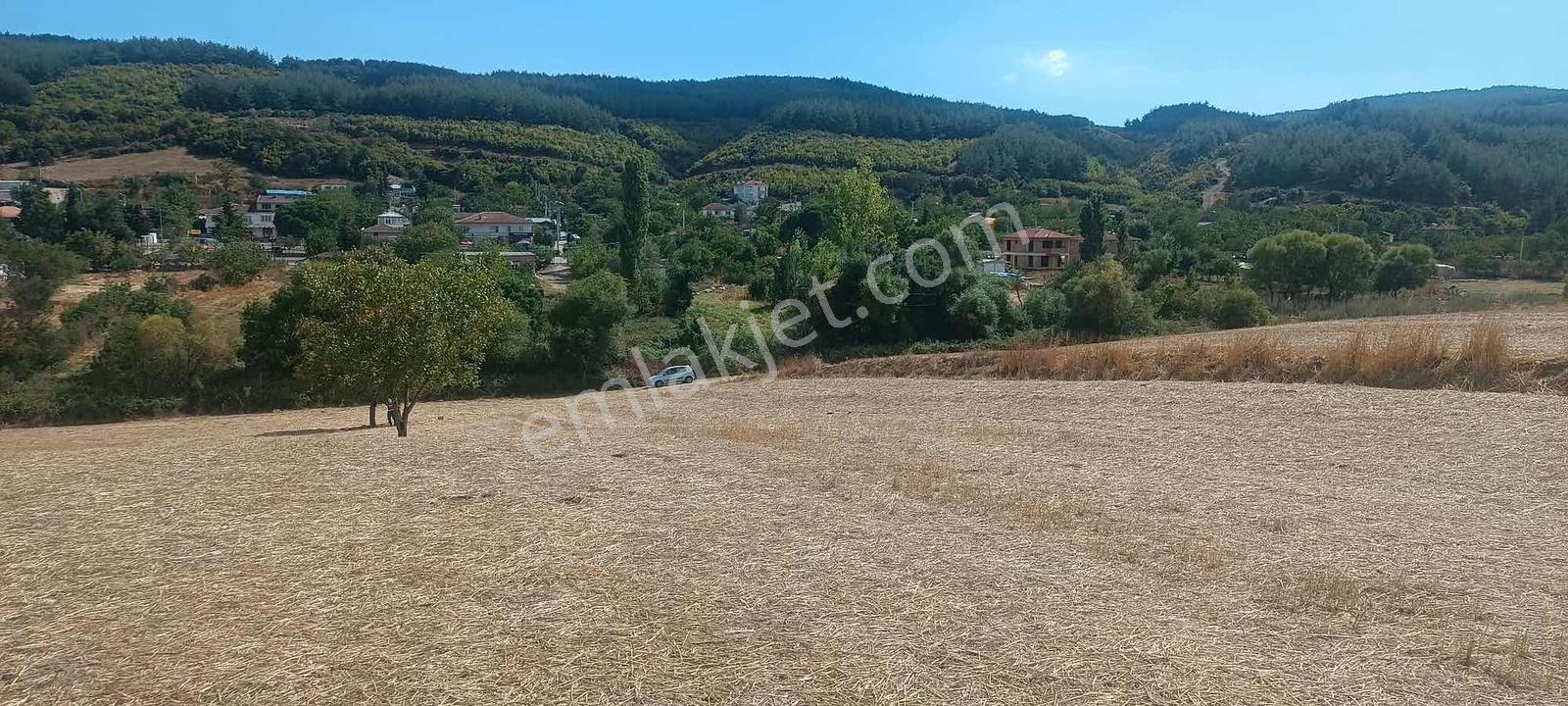 Şarköy Gölcükte Villa Projesine Uygun İmarlı Kupon Arsa — fotoğraf 20