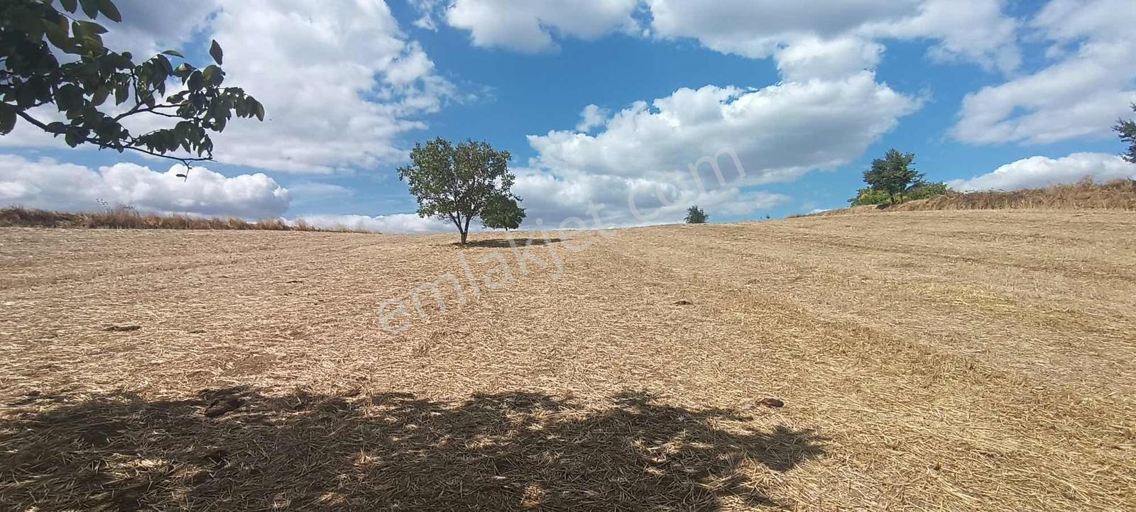 Şarköy Gölcükte Villa Projesine Uygun İmarlı Kupon Arsa — fotoğraf 21