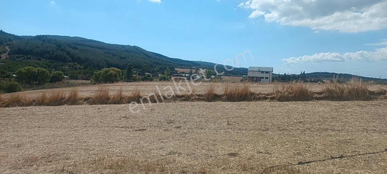 Şarköy Gölcükte Villa Projesine Uygun İmarlı Kupon Arsa — fotoğraf 22