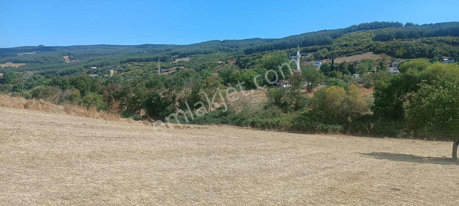 Şarköy Gölcükte Villa Projesine Uygun İmarlı Kupon Arsa — fotoğraf 23