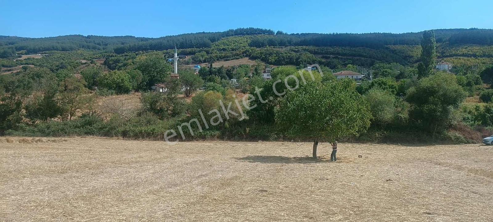 Şarköy Gölcükte Villa Projesine Uygun İmarlı Kupon Arsa — fotoğraf 24