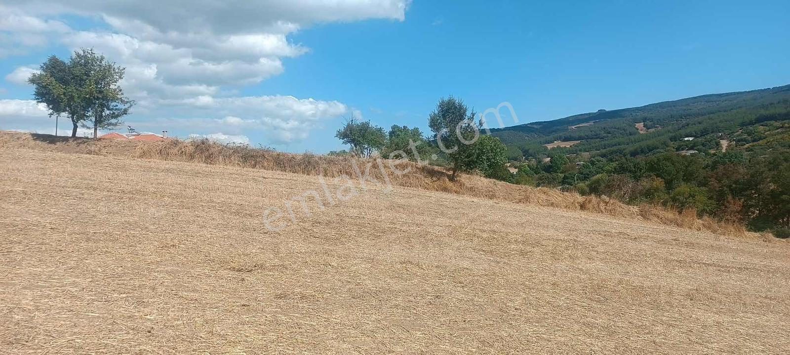 Şarköy Gölcükte Villa Projesine Uygun İmarlı Kupon Arsa — fotoğraf 25