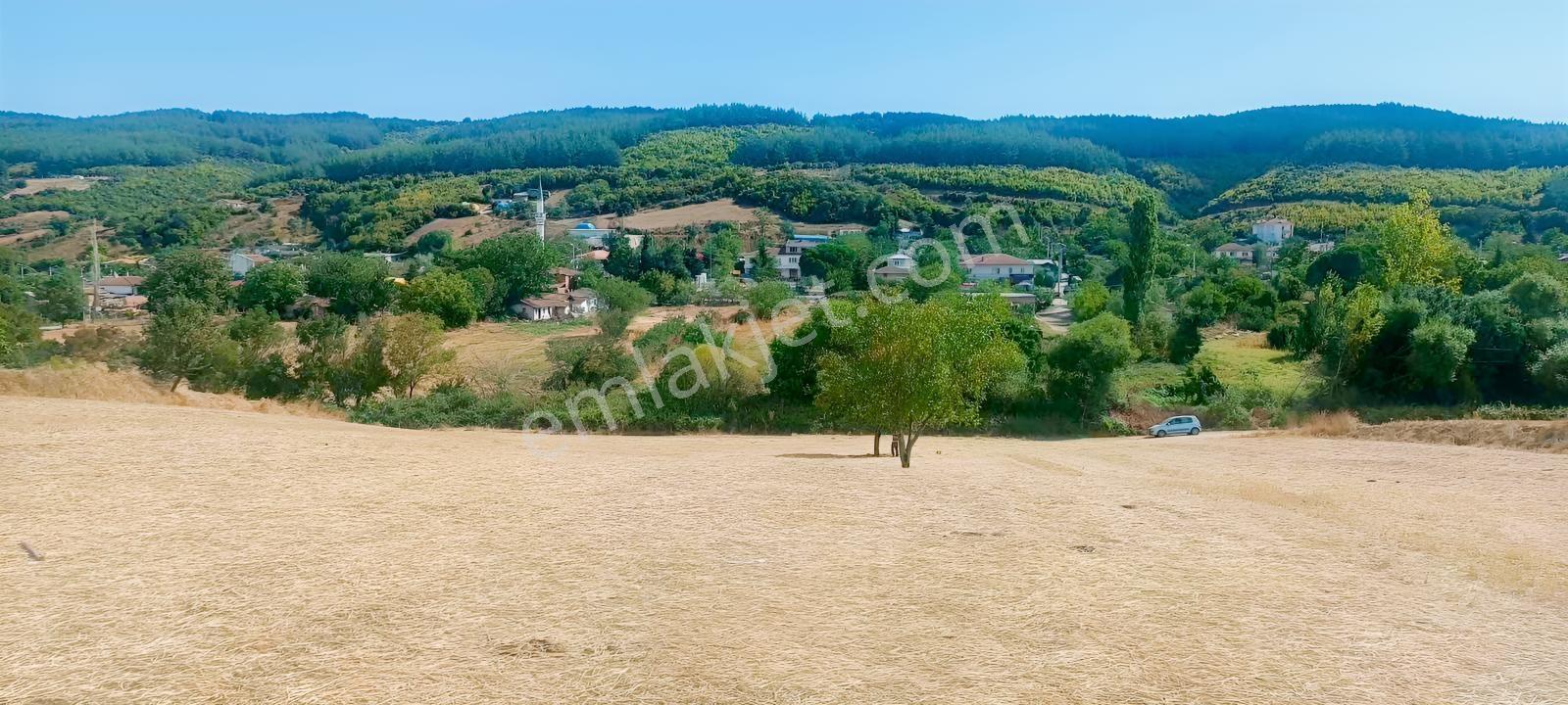 Şarköy Gölcükte Villa Projesine Uygun İmarlı Kupon Arsa — fotoğraf 27