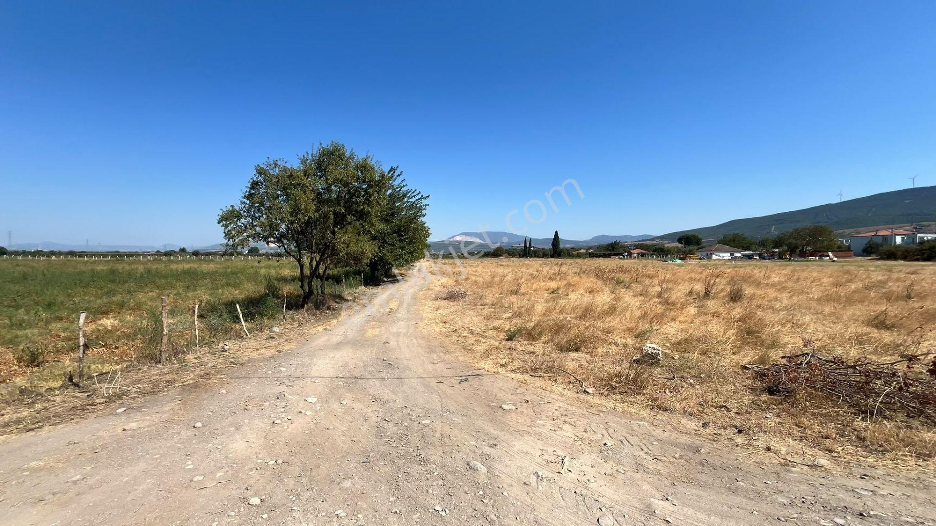 Kınık Yeni Mahalle'de 10.141 M² İmarlı Tarla Vasfında Satılık — fotoğraf 7