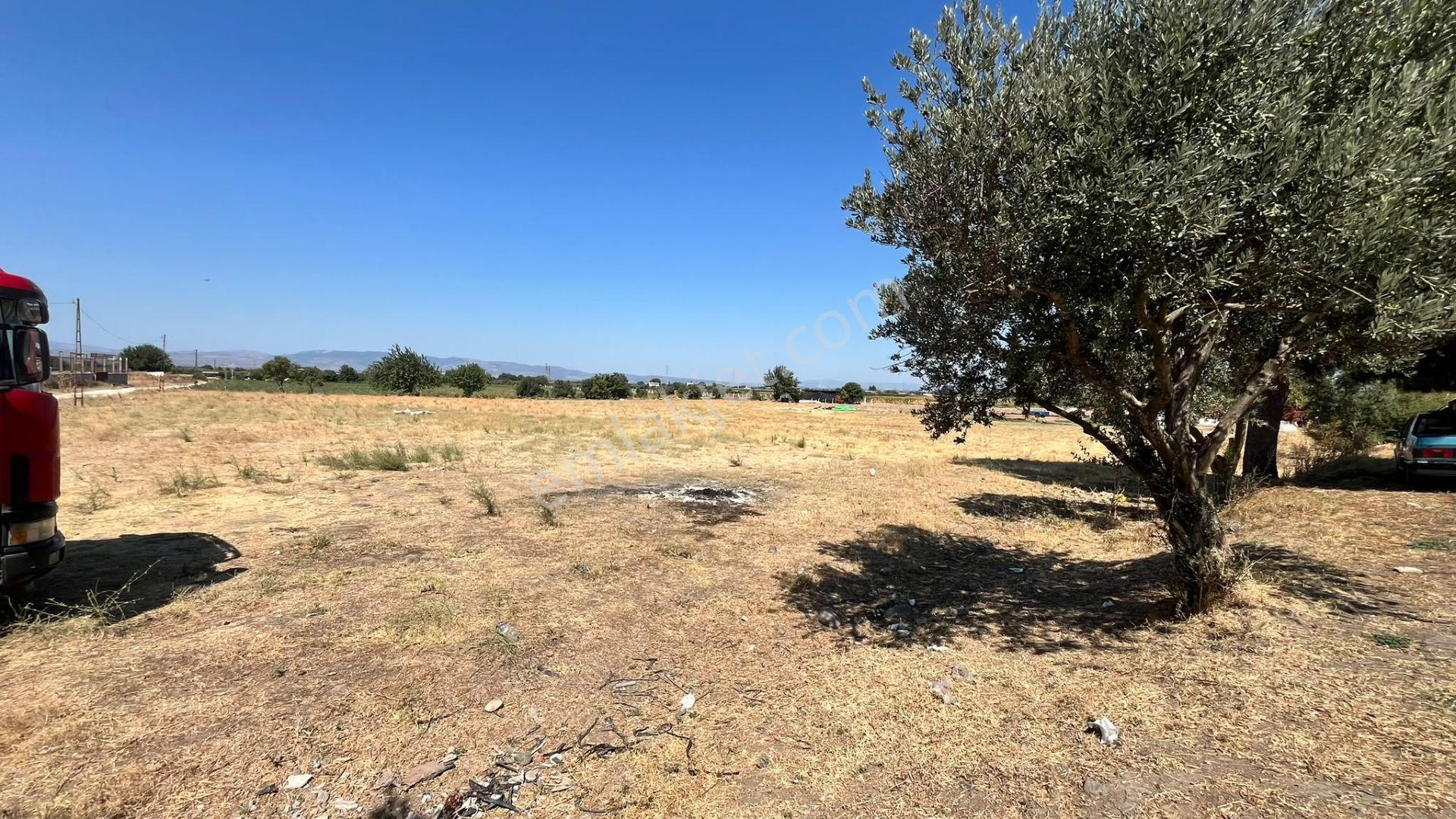 Kınık Yeni Mahalle'de 10.141 M² İmarlı Tarla Vasfında Satılık — fotoğraf 13