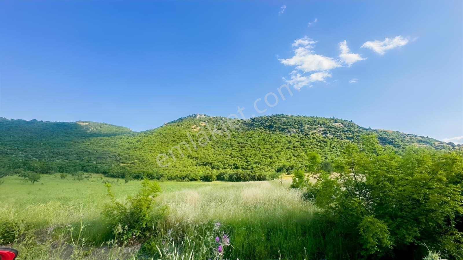 Bursa Mustafakemalpaşa Üçbeyli Köyünde 15.149 M² Tarla — fotoğraf 4