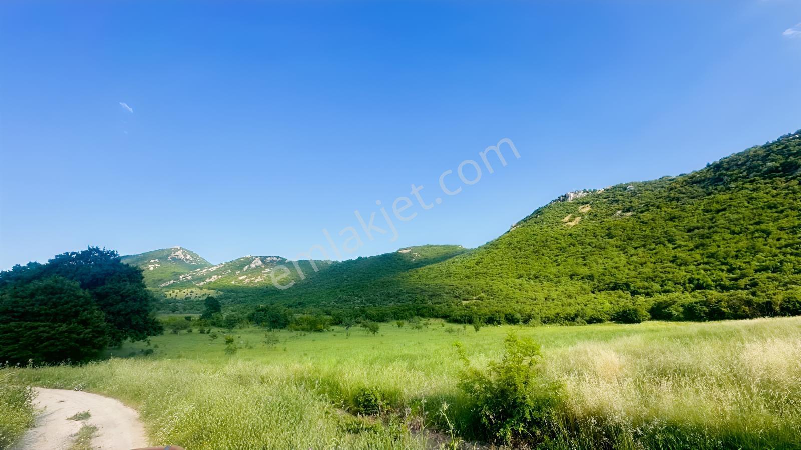 Bursa Mustafakemalpaşa Üçbeyli Köyünde 15.149 M² Tarla — fotoğraf 5
