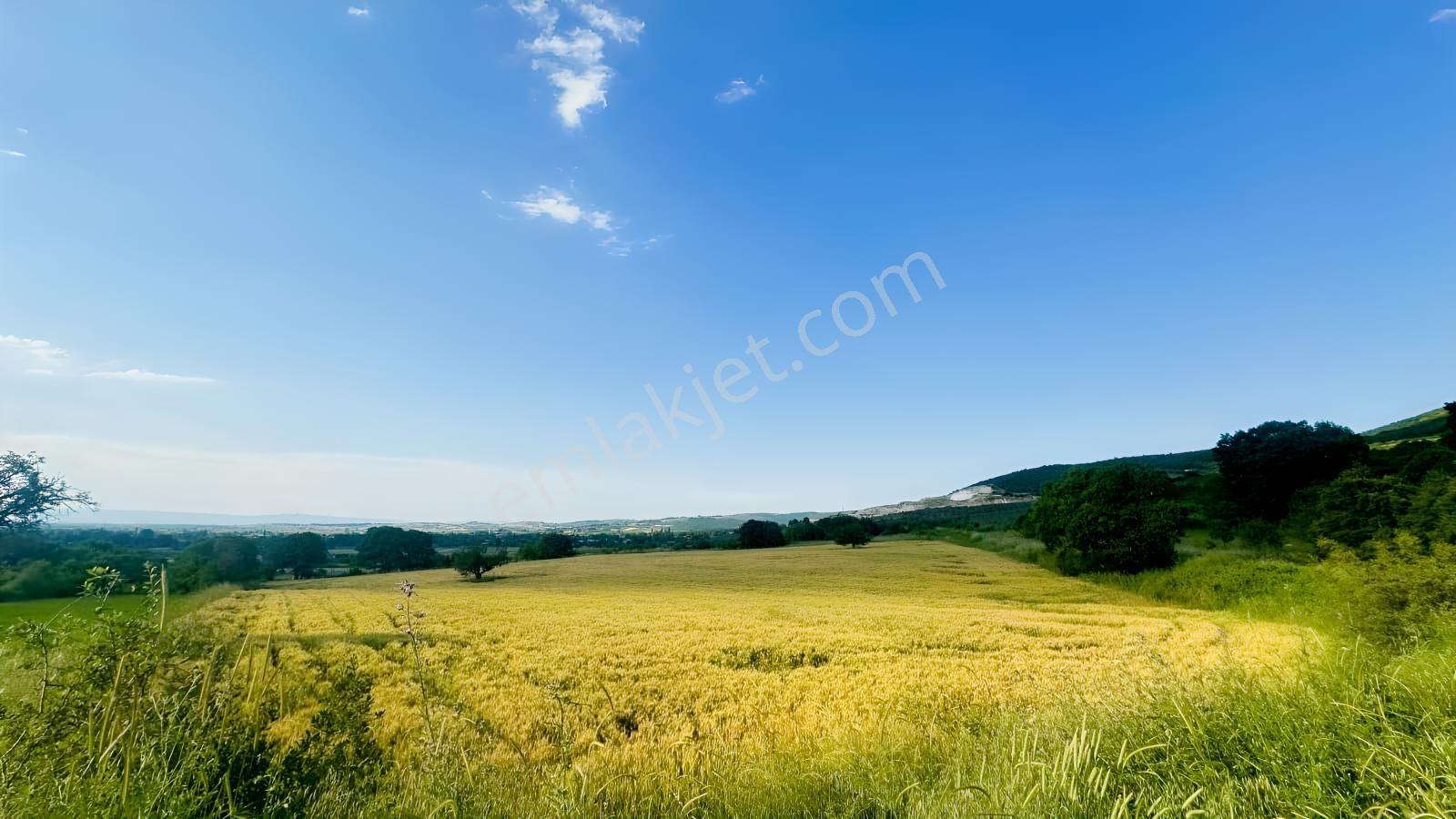 Bursa Mustafakemalpaşa Üçbeyli Köyünde 15.149 M² Tarla — fotoğraf 6