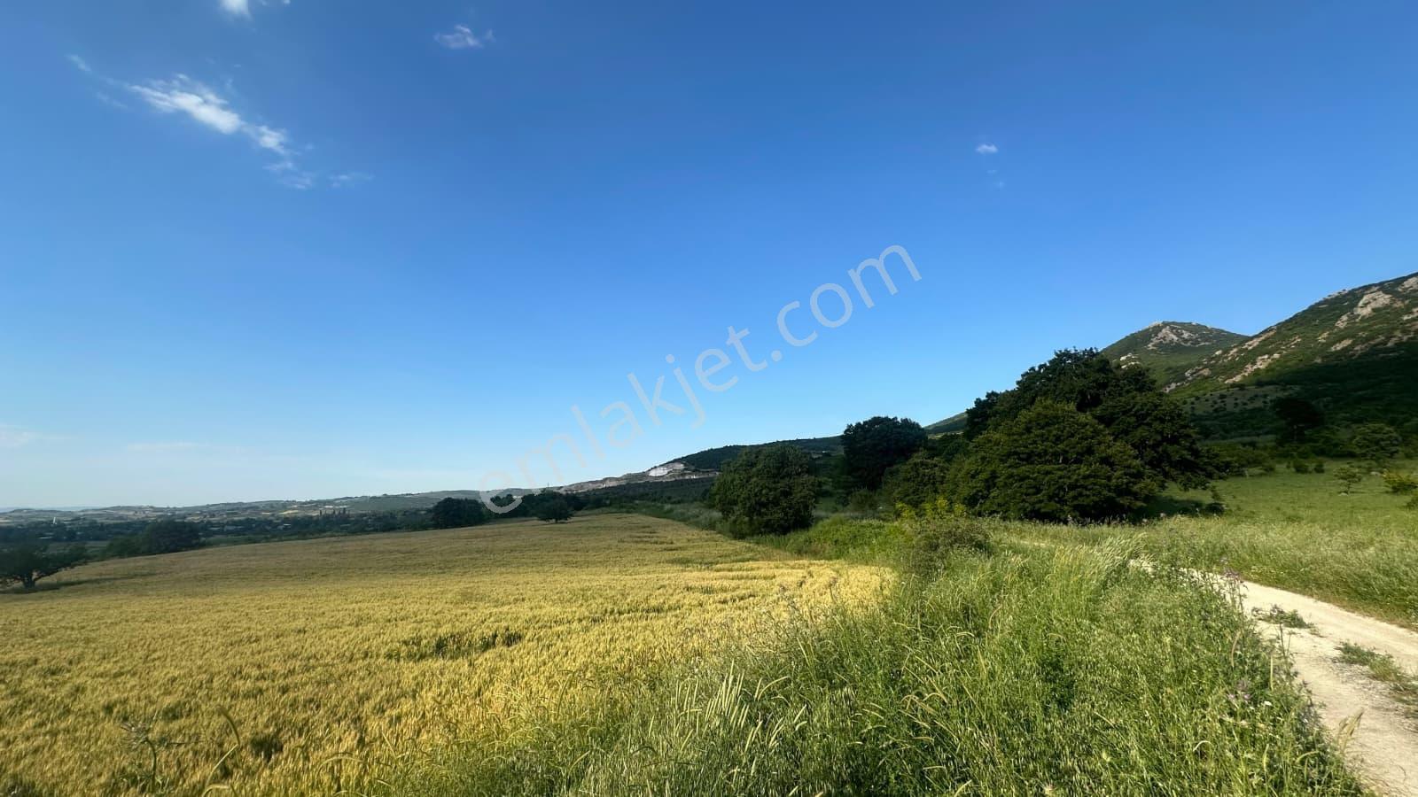 Bursa Mustafakemalpaşa Üçbeyli Köyünde 15.149 M² Tarla — fotoğraf 7