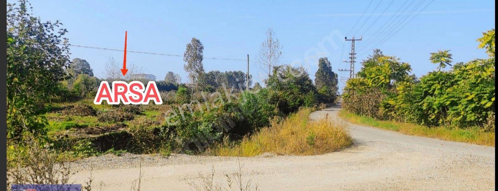 Fatsa Yenipazar'Da Satılık Kupon Arsa