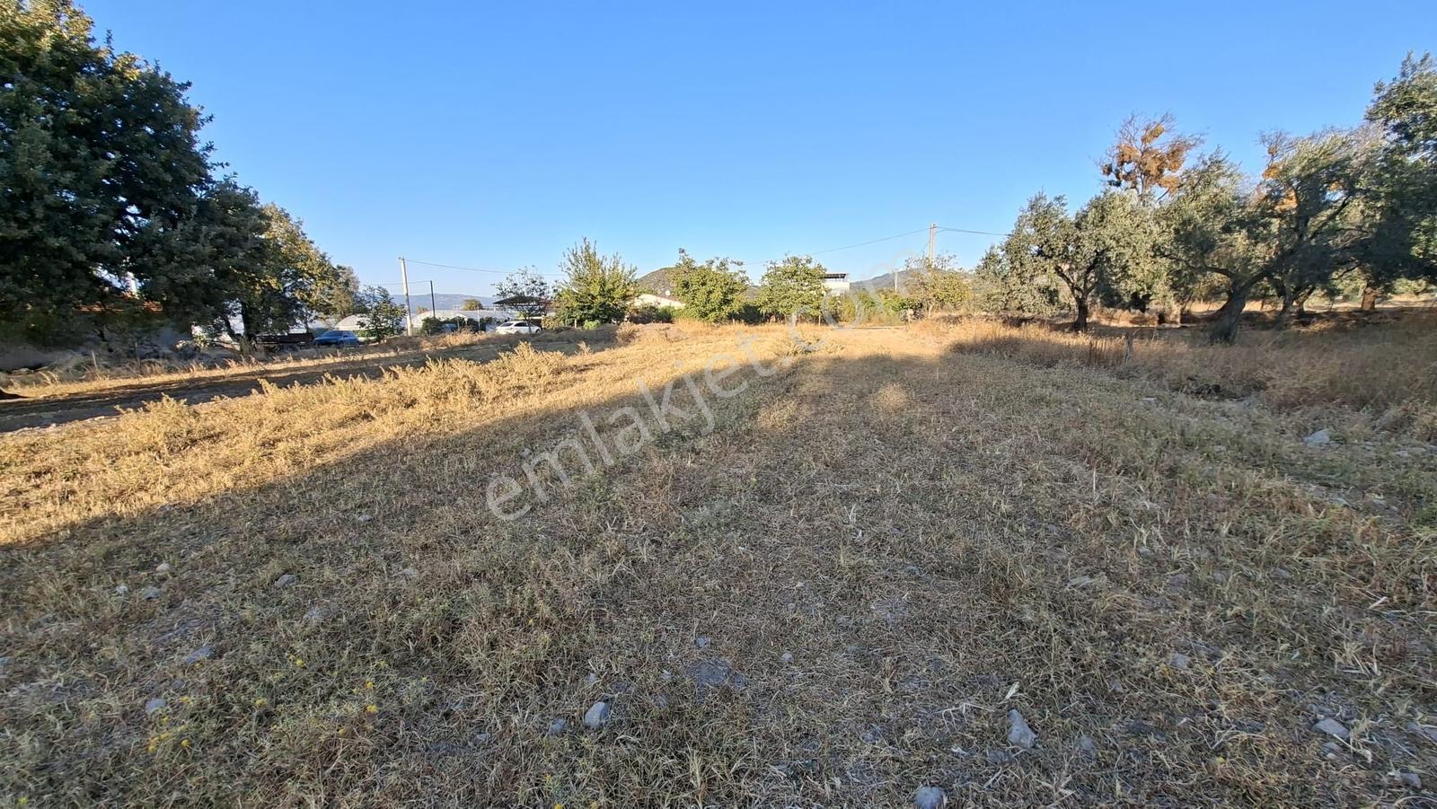 Rw Nefes'ten Burhaniye Kızıklıda 3916 M² Satılık Tarla — fotoğraf 3