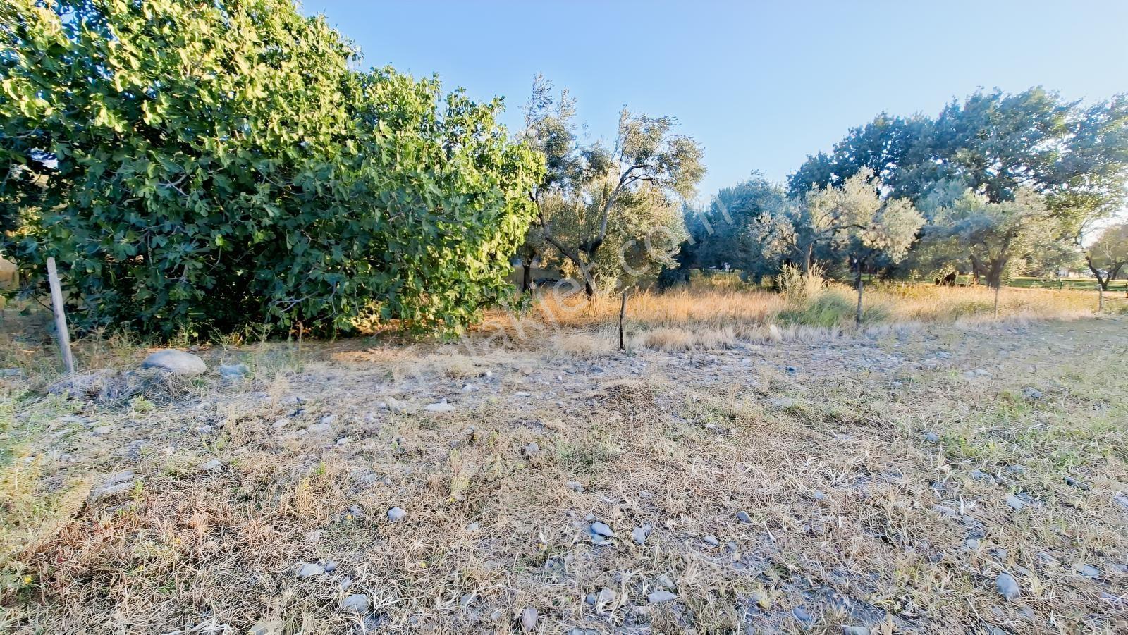 Rw Nefes'ten Burhaniye Kızıklıda 3916 M² Satılık Tarla — fotoğraf 8