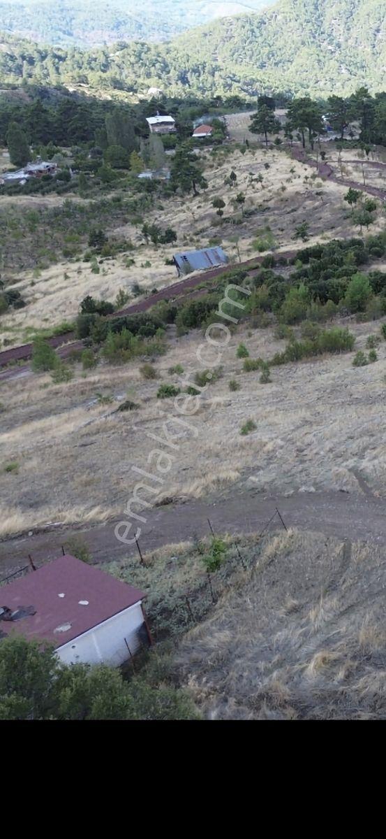 Yaylada Satılık Müstakil Tapulu Arazi — fotoğraf 3