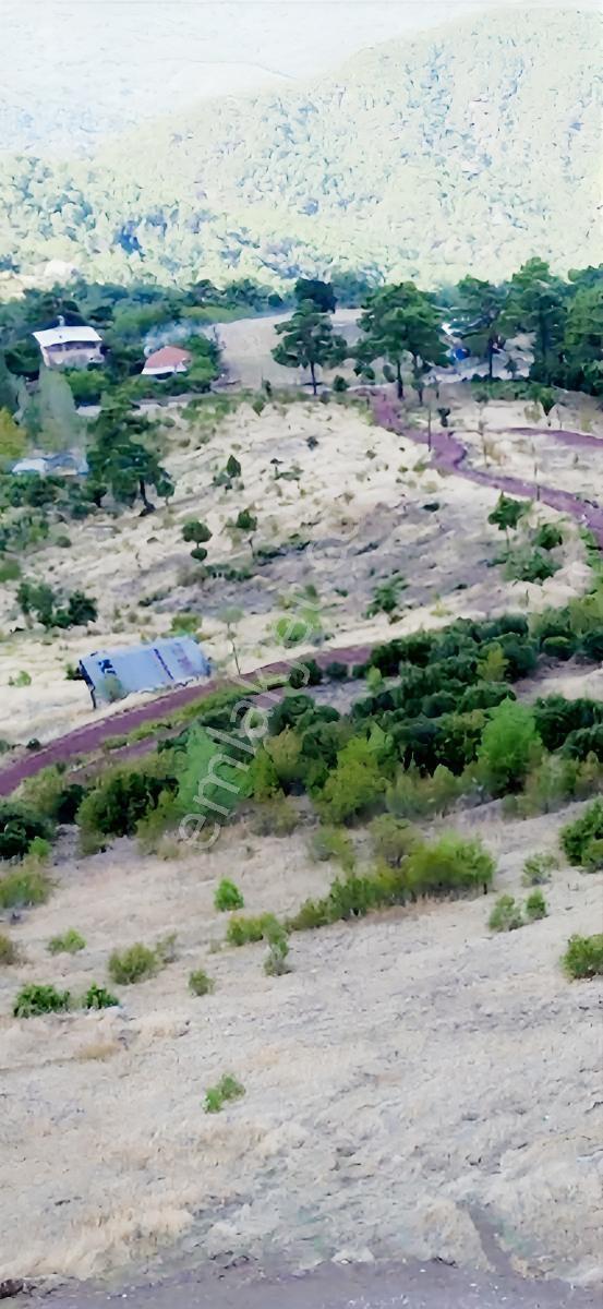 Yaylada Satılık Müstakil Tapulu Arazi — fotoğraf 4