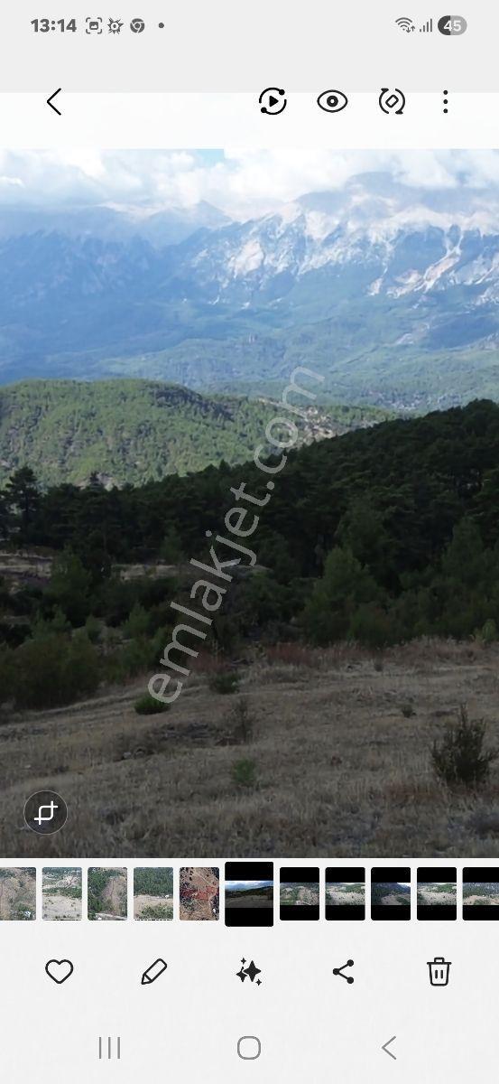 Yaylada Satılık Müstakil Tapulu Arazi — fotoğraf 8