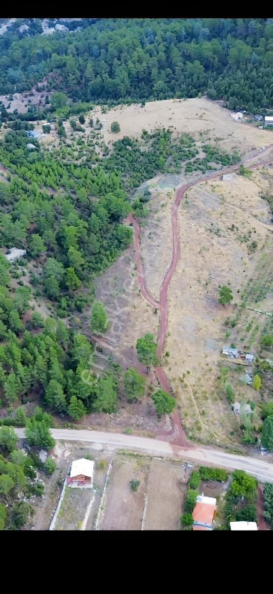 Yaylada Satılık Müstakil Tapulu Arazi — fotoğraf 10