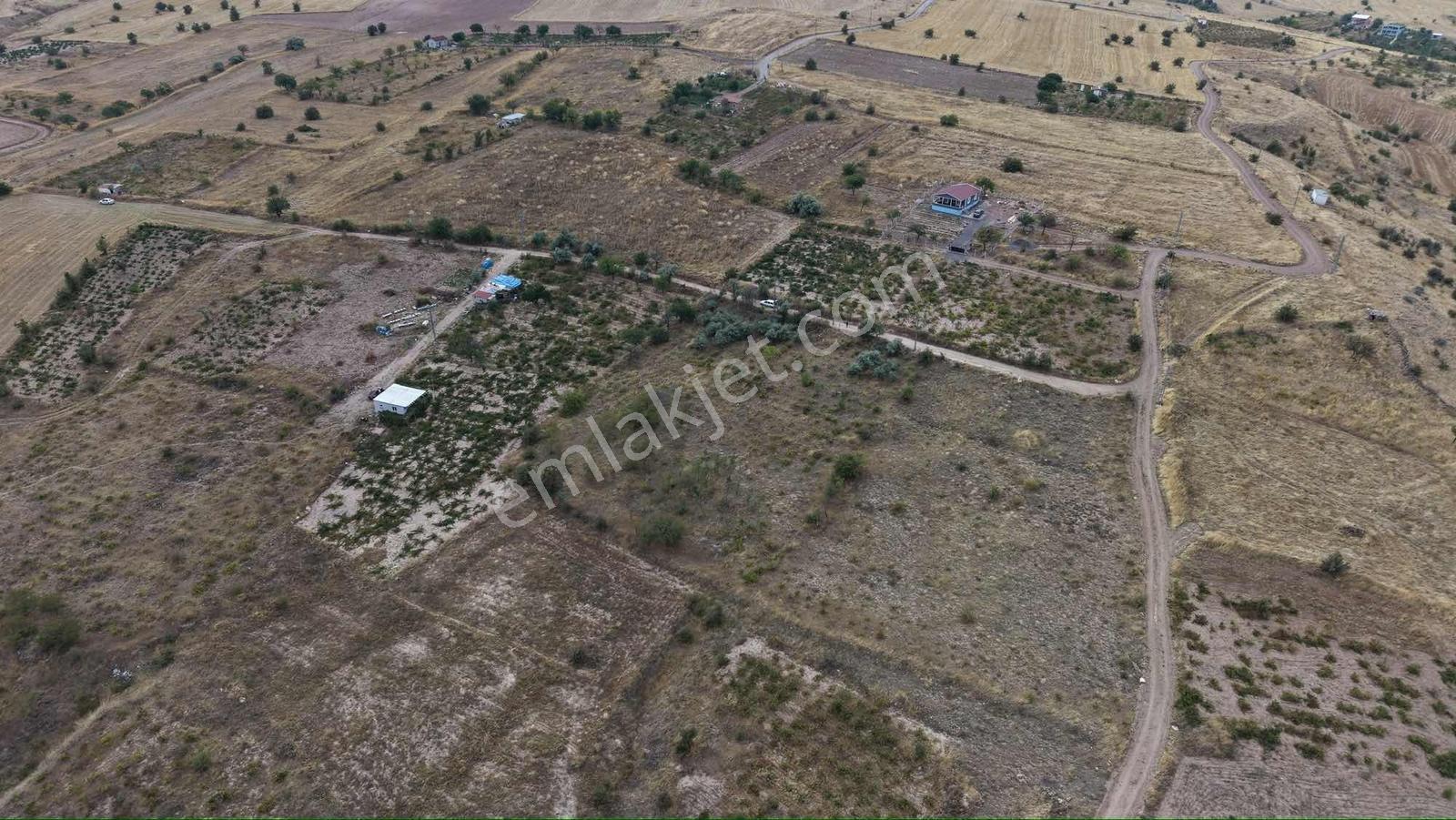 Ağırnas'da 4.610 M2 Uygun Fiyatlı Bağ — fotoğraf 2