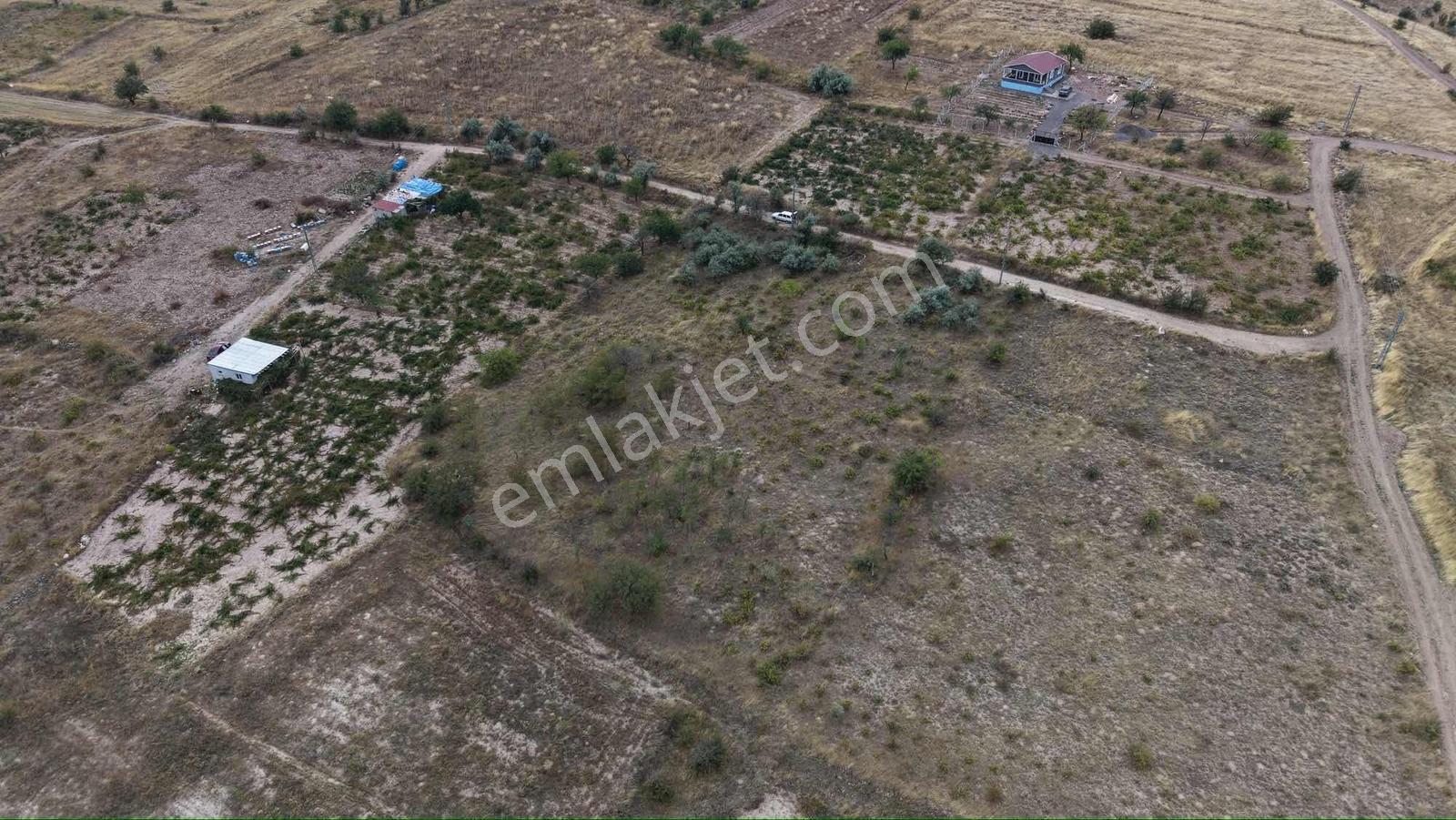 Ağırnas'da 4.610 M2 Uygun Fiyatlı Bağ — fotoğraf 3