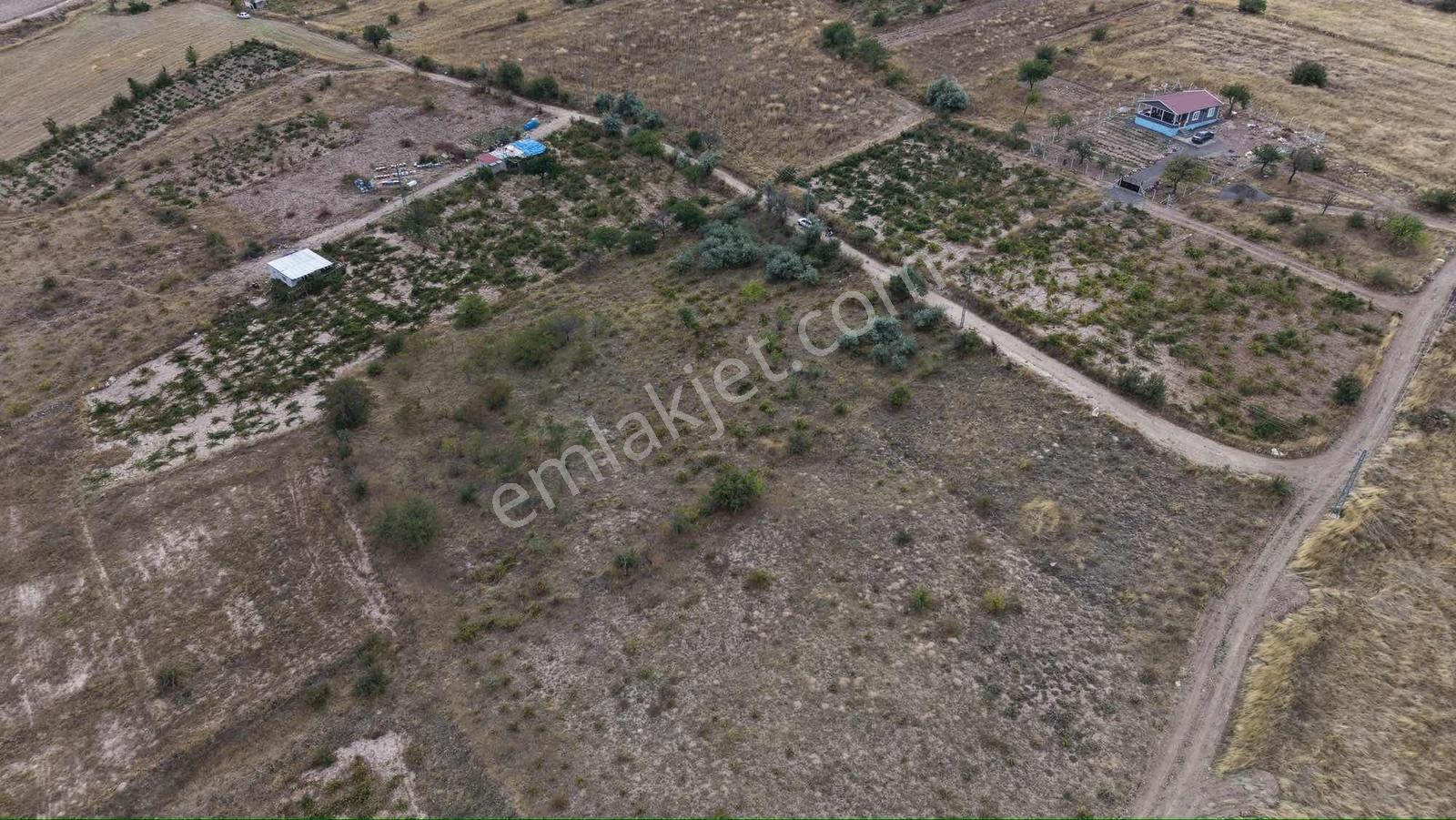 Ağırnas'da 4.610 M2 Uygun Fiyatlı Bağ — fotoğraf 4