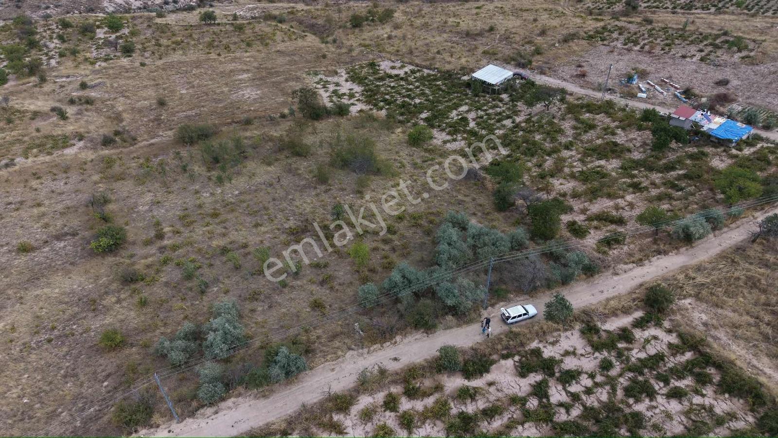 Ağırnas'da 4.610 M2 Uygun Fiyatlı Bağ — fotoğraf 5
