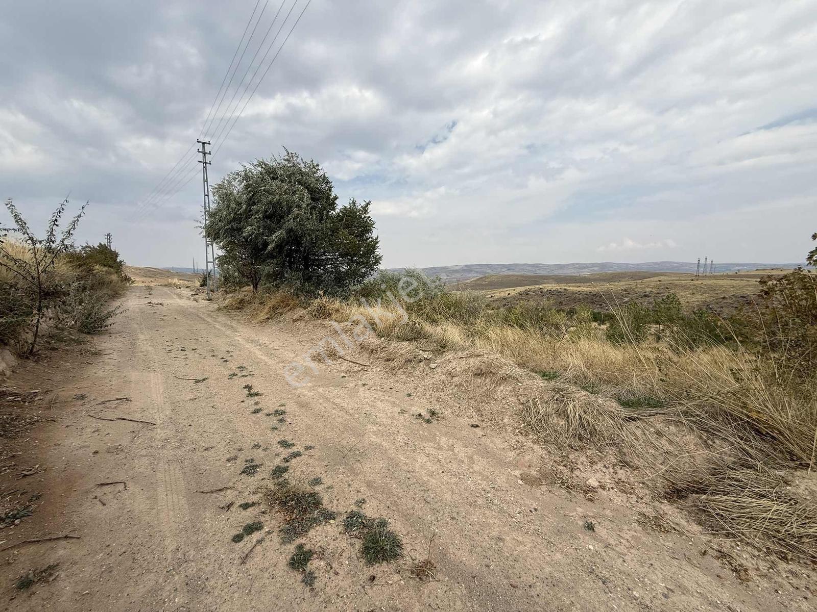 Ağırnas'da 4.610 M2 Uygun Fiyatlı Bağ — fotoğraf 6