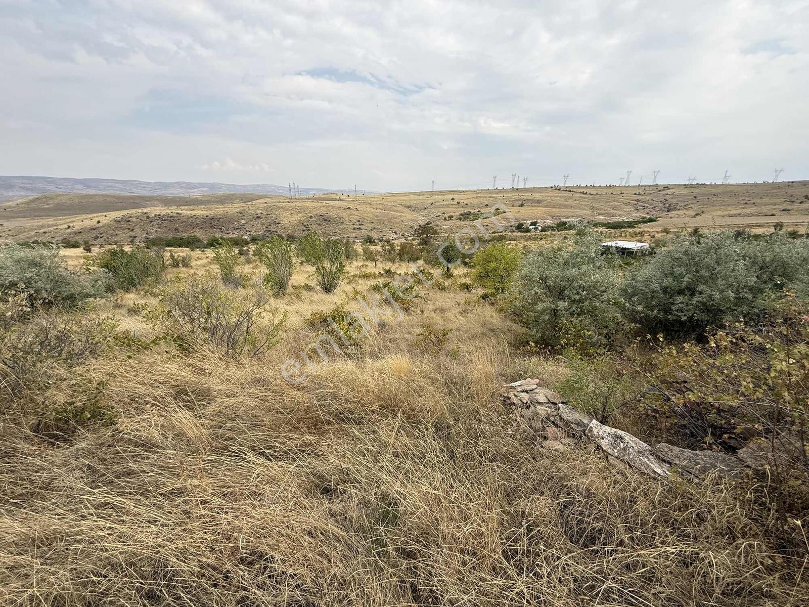 Ağırnas'da 4.610 M2 Uygun Fiyatlı Bağ — fotoğraf 7
