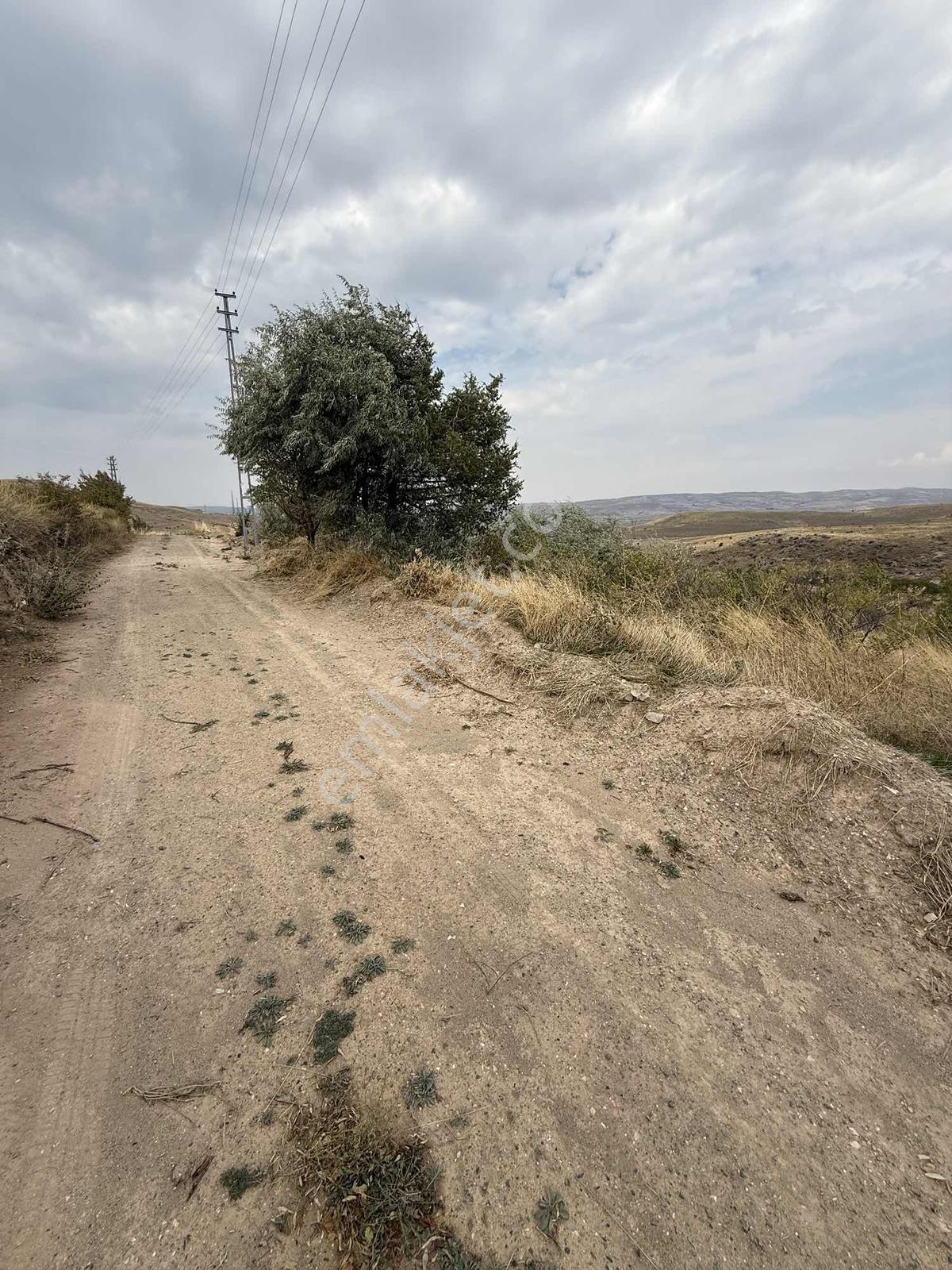 Ağırnas'da 4.610 M2 Uygun Fiyatlı Bağ — fotoğraf 8