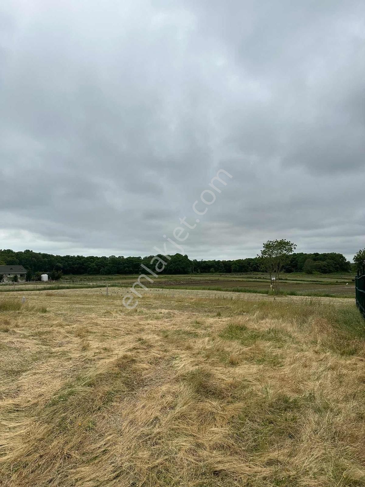 Çatalca Karacaköyde 250 M² Uygun Fiyatlı Yatırımlık Arsa — fotoğraf 6