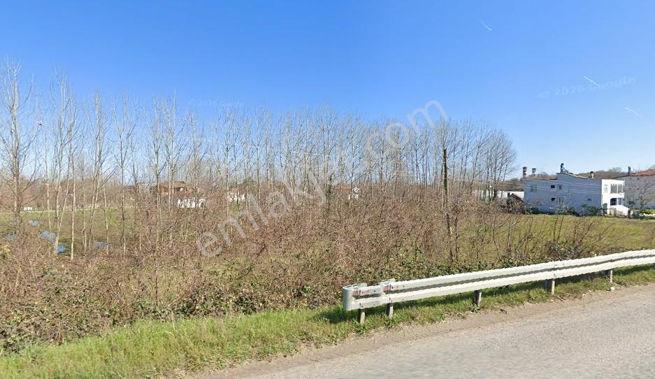 Yg'den Terme Akçay Asvalt Kenarı 2800m2 — fotoğraf 3