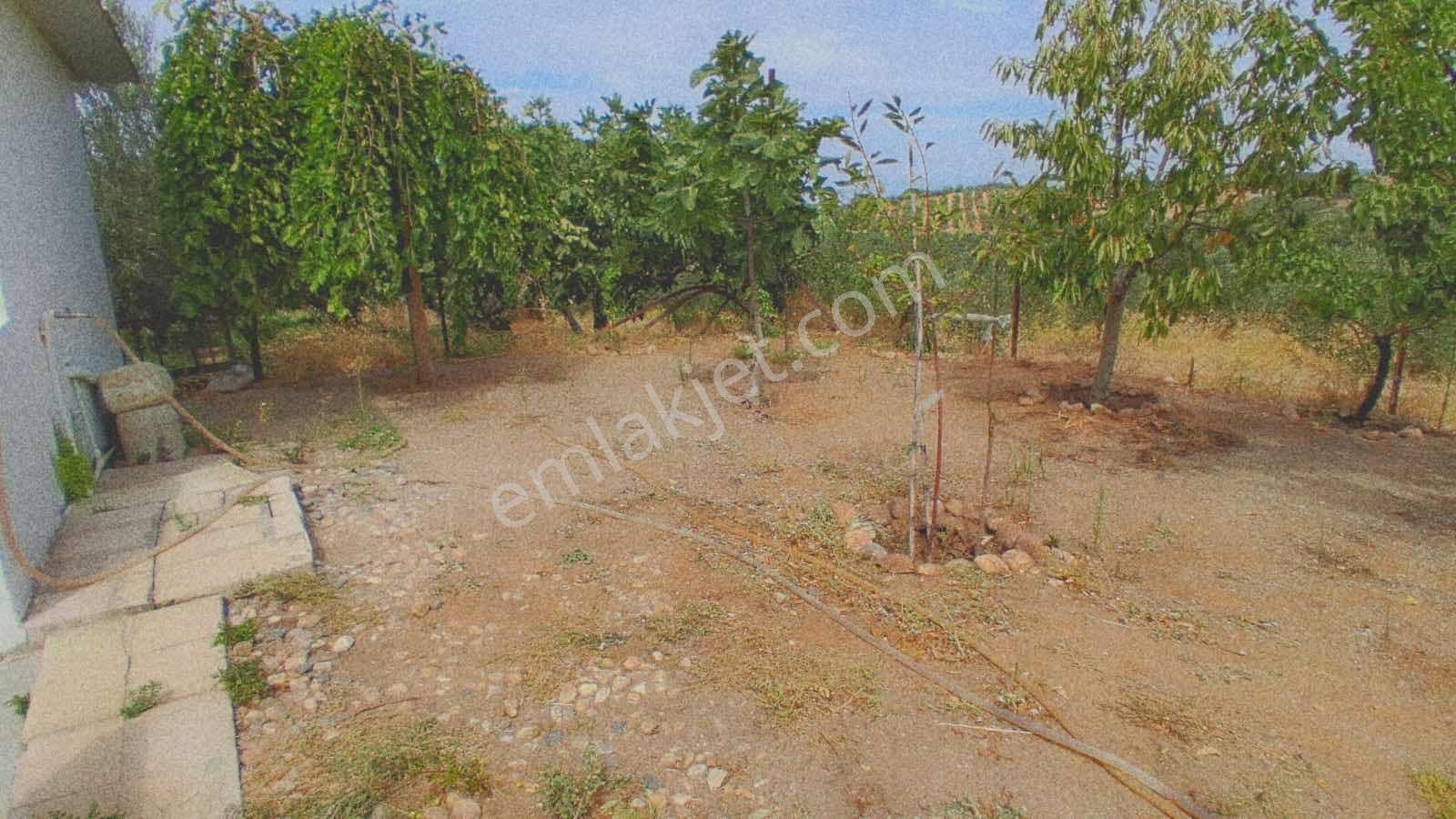 Sinirli Köyünde 3.900 M2 Elektrik Suyu Olan Bahçe — fotoğraf 9