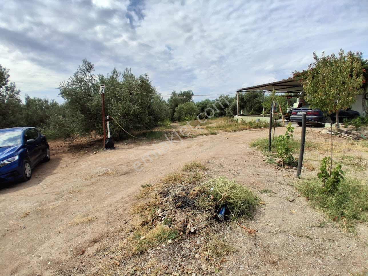 Sinirli Köyünde 3.900 M2 Elektrik Suyu Olan Bahçe — fotoğraf 18