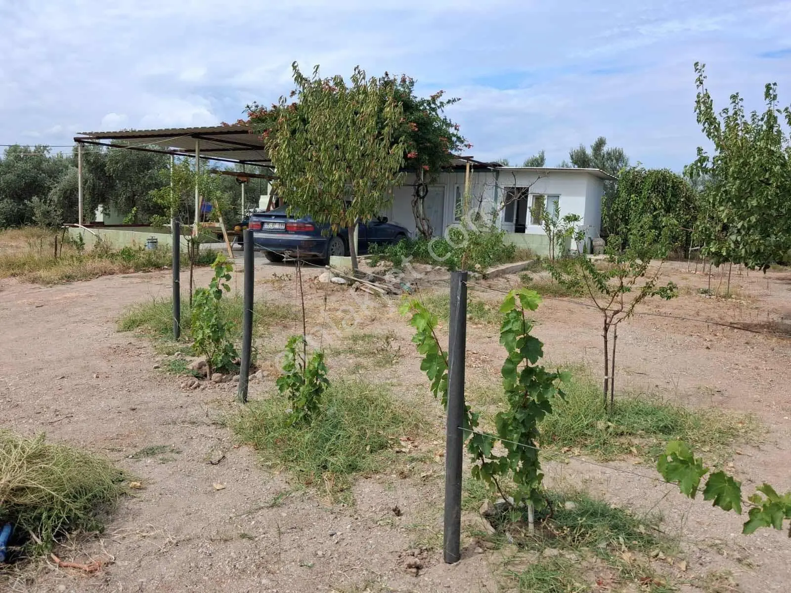 Sinirli Köyünde 3.900 M2 Elektrik Suyu Olan Bahçe — fotoğraf 21