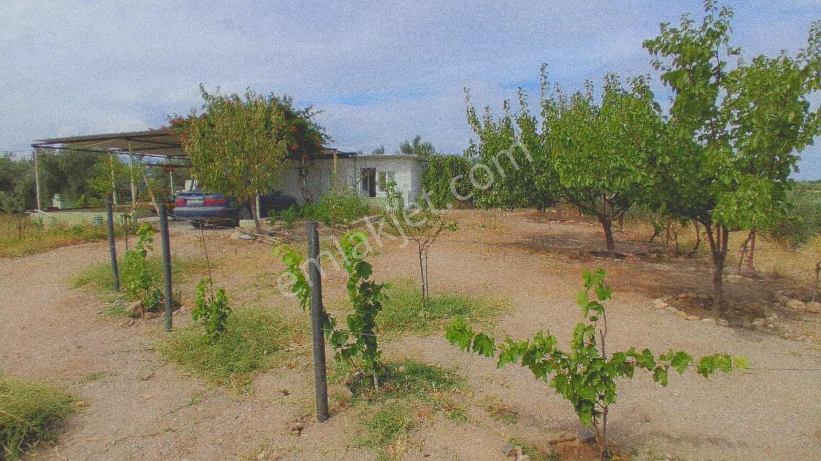 Sinirli Köyünde 3.900 M2 Elektrik Suyu Olan Bahçe — fotoğraf 22