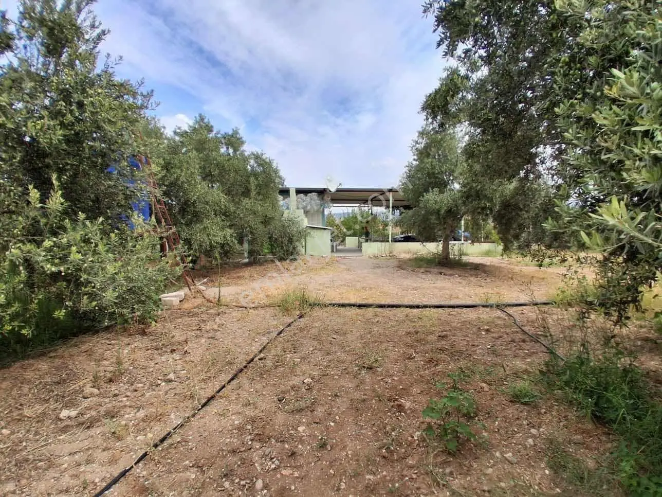 Sinirli Köyünde 3.900 M2 Elektrik Suyu Olan Bahçe — fotoğraf 28