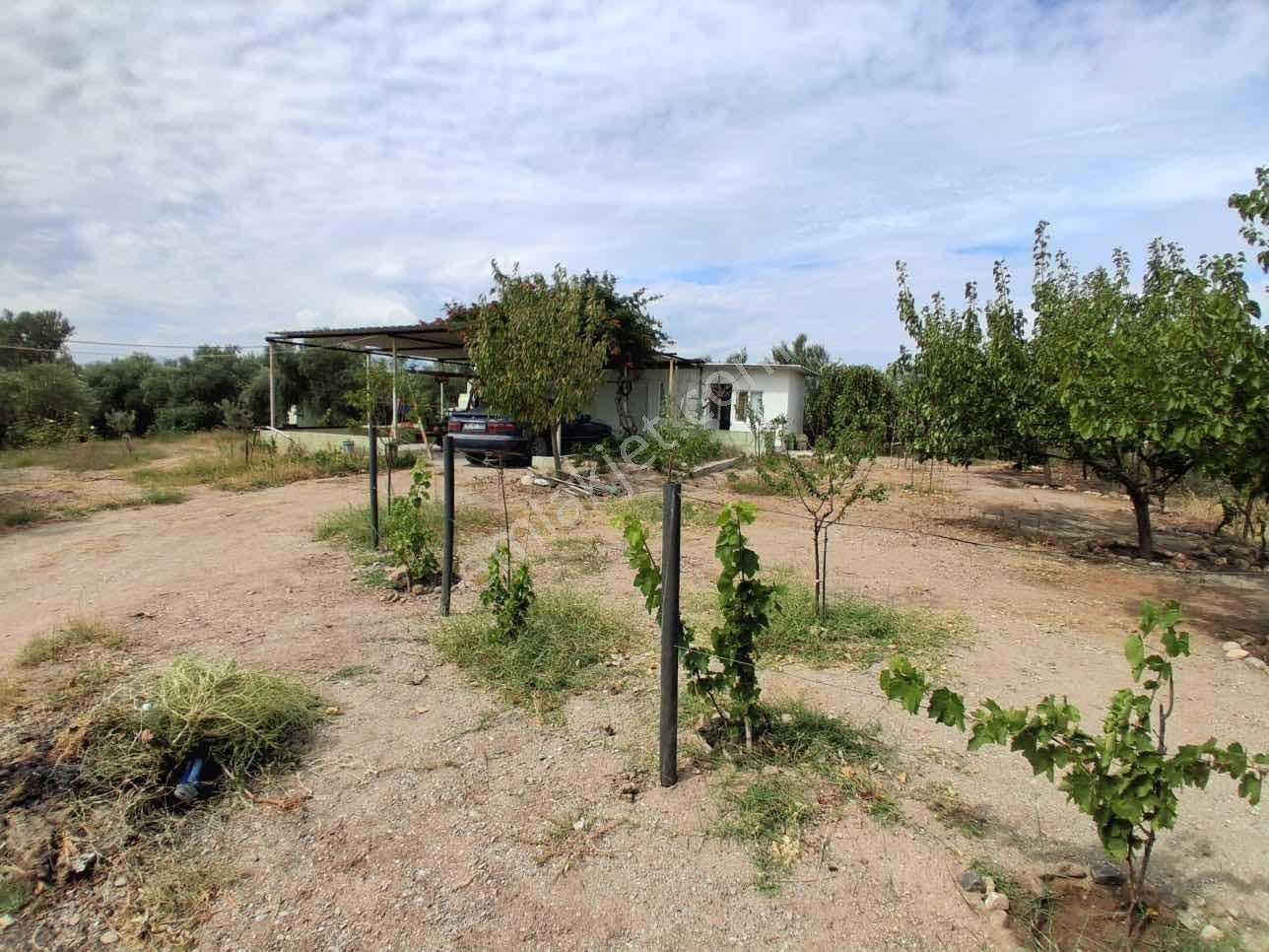 Sinirli Köyünde 3.900 M2 Elektrik Suyu Olan Bahçe — fotoğraf 31