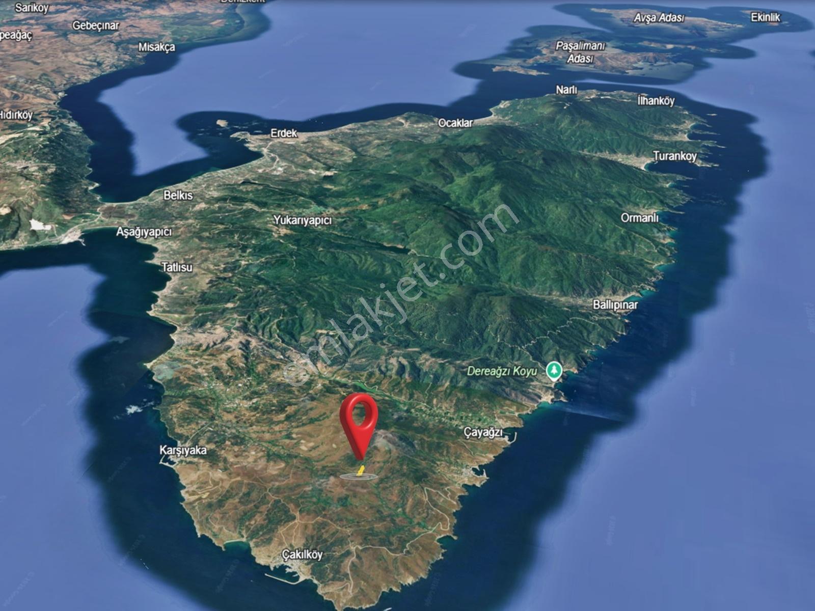 Balıkesir Erdek Kestanelik De Satılık Zeytinlik — fotoğraf 8