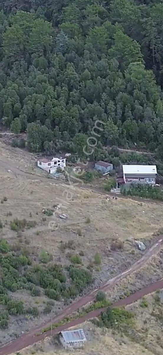 Yaylada 1dn.müstakil Tapulu Satılık Arazi — fotoğraf 3