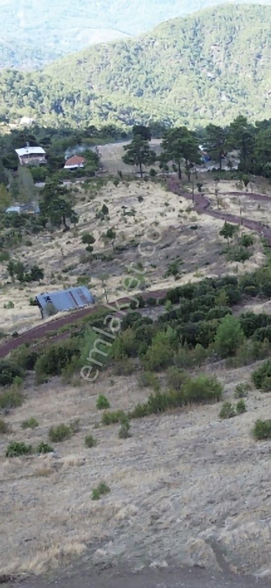Yaylada 1dn.müstakil Tapulu Satılık Arazi — fotoğraf 5
