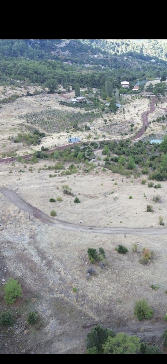 Yaylada 1dn.müstakil Tapulu Satılık Arazi — fotoğraf 6