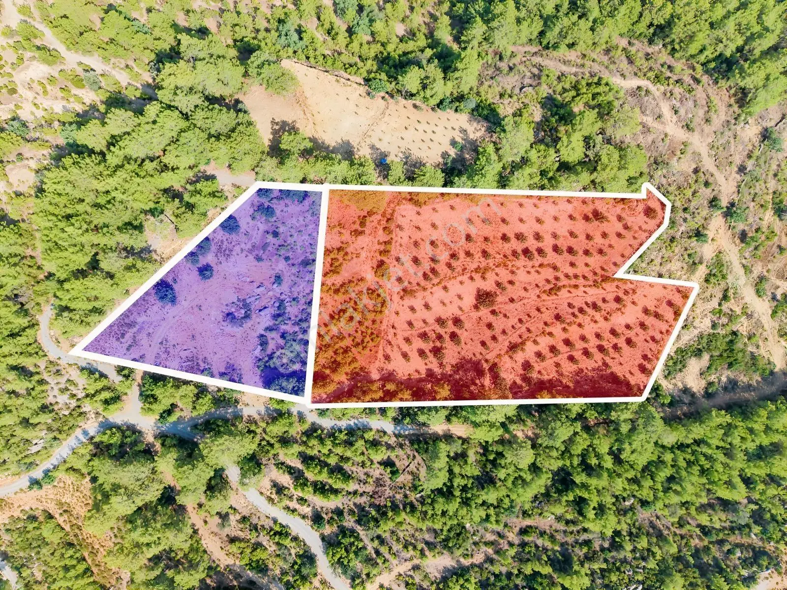Saburlar Köyü Yol Kenarı 3.987 M² Rızai Taksimli Hisseli Tarla