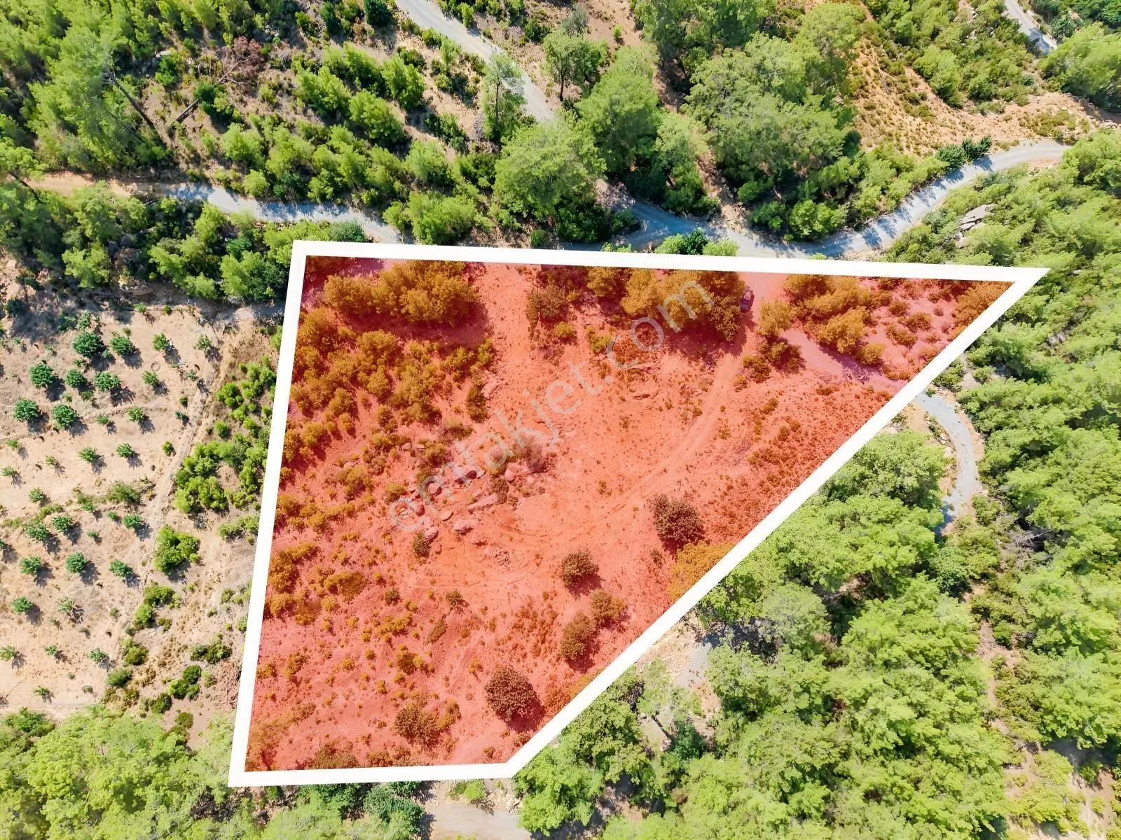 Saburlar Köyü Yol Kenarı 3.987 M² Rızai Taksimli Hisseli Tarla — fotoğraf 2