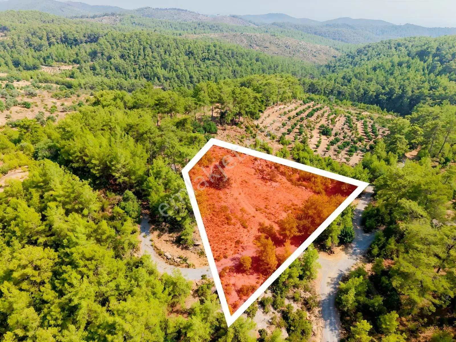 Saburlar Köyü Yol Kenarı 3.987 M² Rızai Taksimli Hisseli Tarla — fotoğraf 3