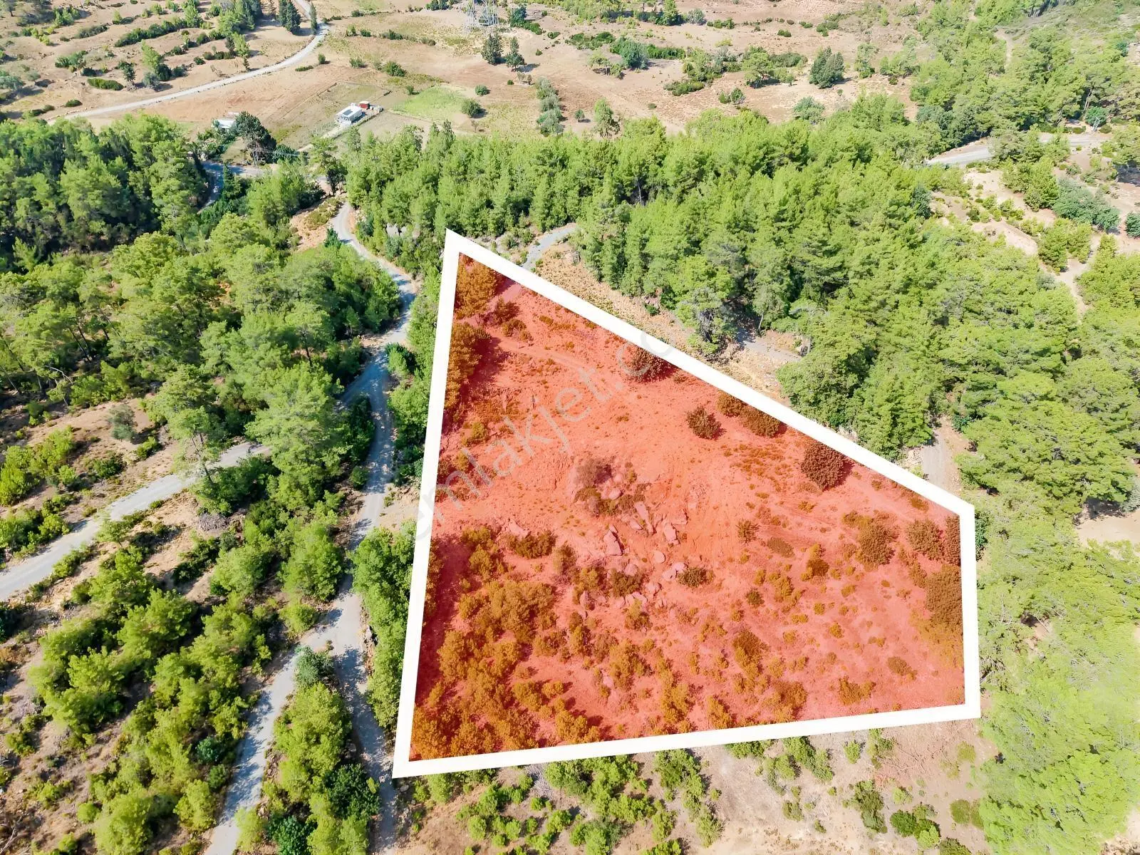 Saburlar Köyü Yol Kenarı 3.987 M² Rızai Taksimli Hisseli Tarla — fotoğraf 4