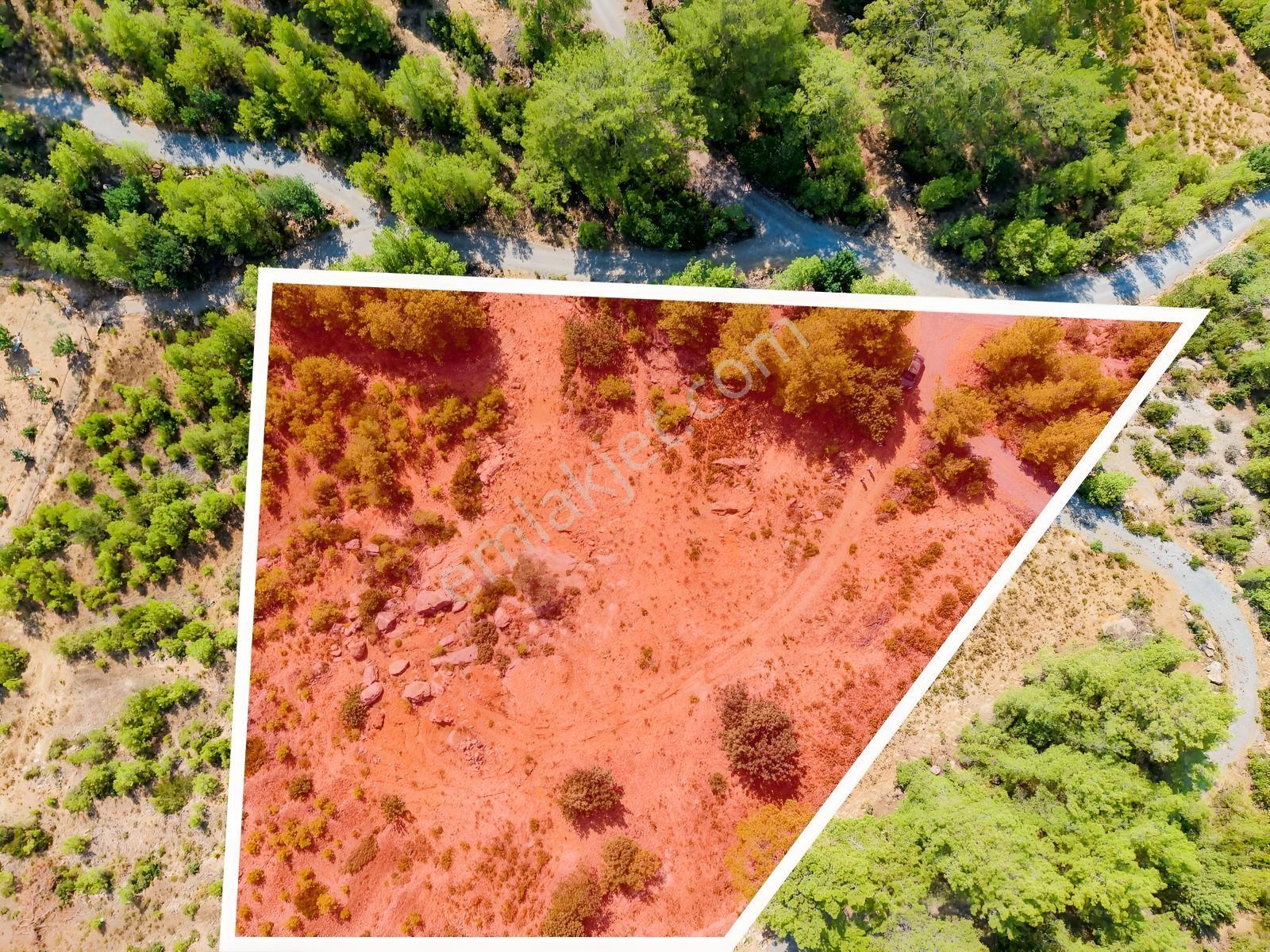 Saburlar Köyü Yol Kenarı 3.987 M² Rızai Taksimli Hisseli Tarla — fotoğraf 6
