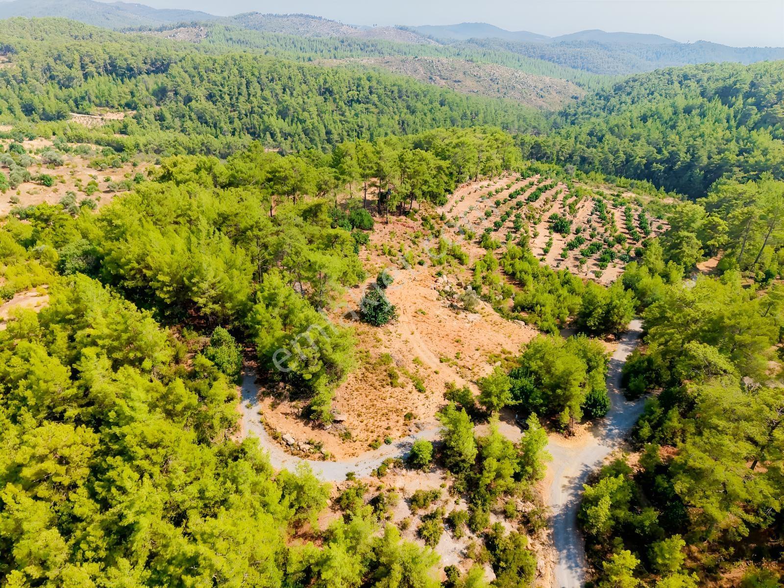 Saburlar Köyü Yol Kenarı 3.987 M² Rızai Taksimli Hisseli Tarla — fotoğraf 7